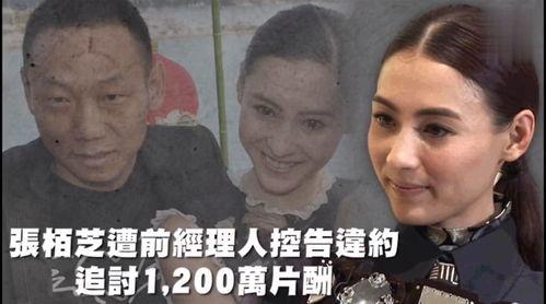 娱乐吃瓜nga,吃瓜群众必看NGA大事件盘点